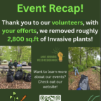 Quiet Waters Park Invasive Removal Event – Recap!