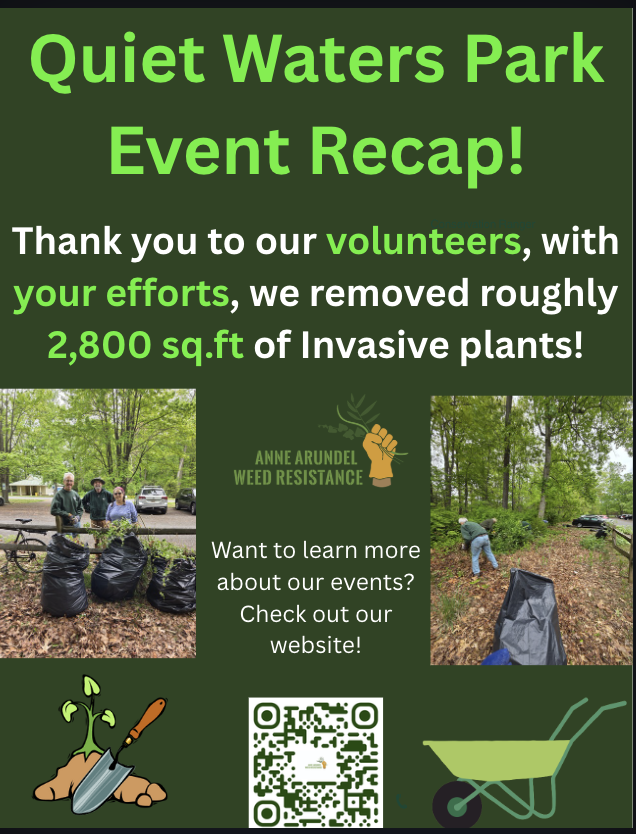 Quiet Waters Park Invasive Removal Event – Recap!